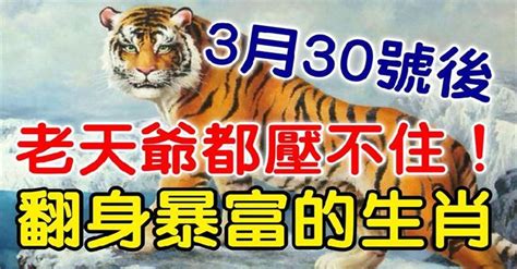 過了3月30號，老天爺都壓不住，翻身暴富的生肖 Peekme