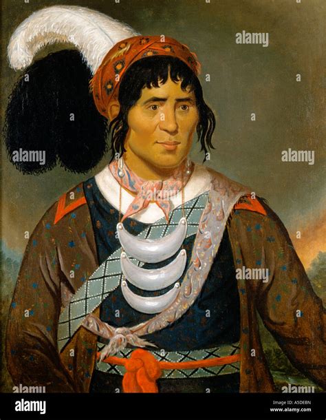 Osceola hi-res stock photography and images - Alamy