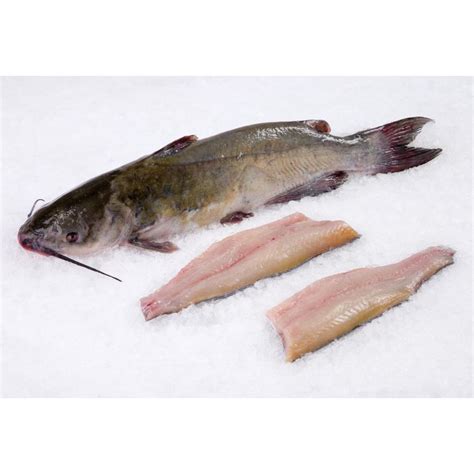 Fresh Catfish Fillets | Citarella