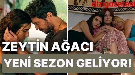 Yerli Netflix Dizisi Zeytin Ağacı Yeni Sezon Onayı Aldı