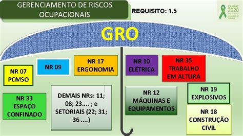 NR 01 GERENCIAMENTO DE RISCOS OCUPACIONAIS GRO PROGRAMA