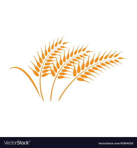 Wheat logo Royalty Free Vector Image - VectorStock