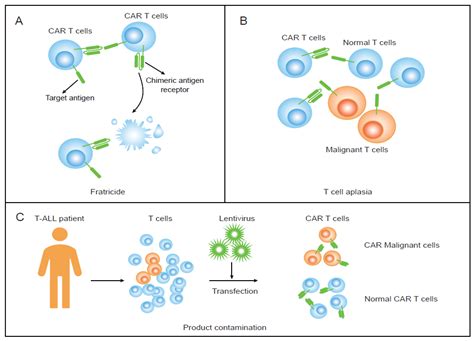 Vaccines Free Full Text Car T Cell Immunotherapy Treating T All