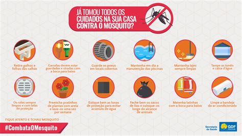 Aedes Aegypti Saiba Como Não Deixar O Mosquito Nascer Agência Brasília