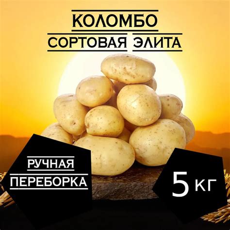 Картофель Exotic Tree klubni_5 кг. Картофель Коломбо - купить по ...