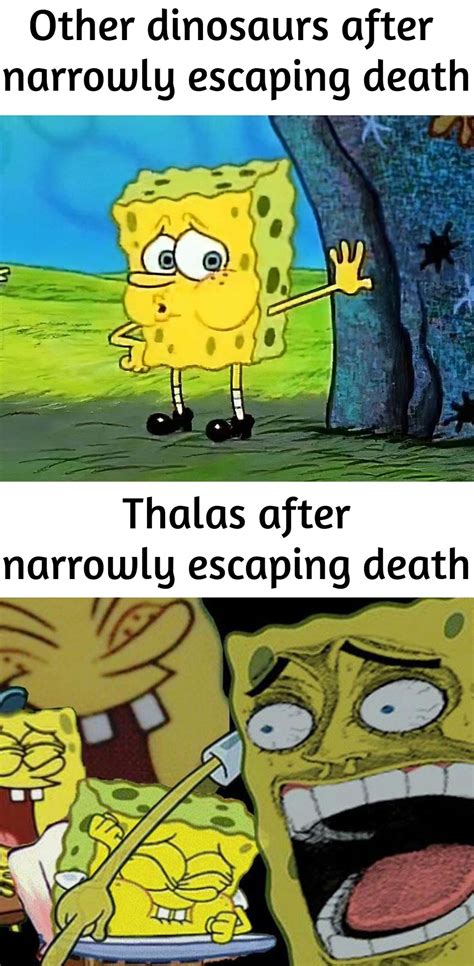 Best U Fuck Nature Images On Pholder Apparently It Triggers Their Parental Instinct