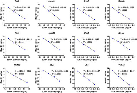 Hprt Serves As An Ideal Reference Gene For Qrt Pcr Normalization In Rat