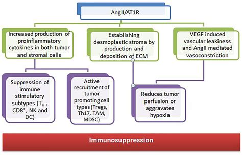 Frontiers Combination Strategies To Augment Immune Check Point