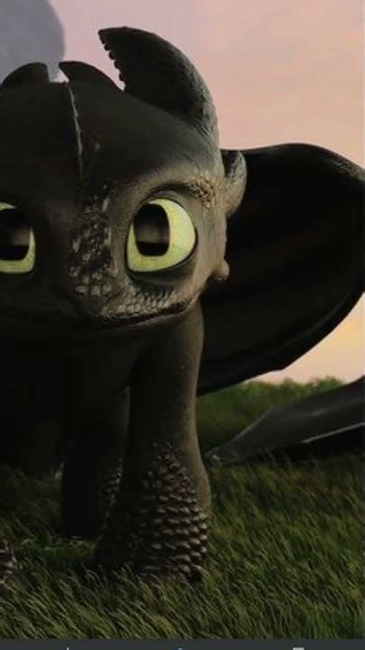 Httyd Cat Cat Cat Cat Youtube