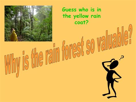 Ppt What Makes Up A Tropical Rain Forest Why Are Rain Forests