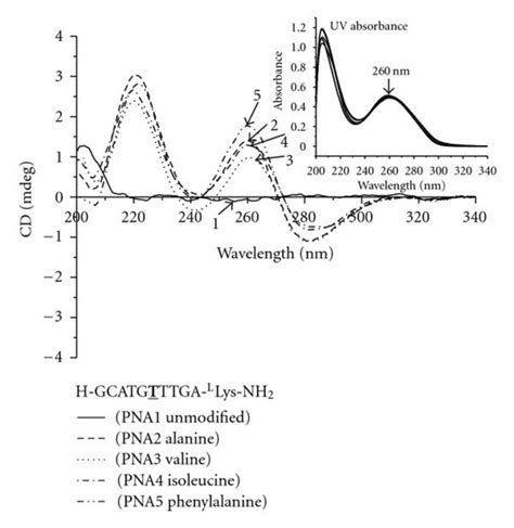 Cd Spectra Of Pna Through Otherwise Stated All The Samples For Cd