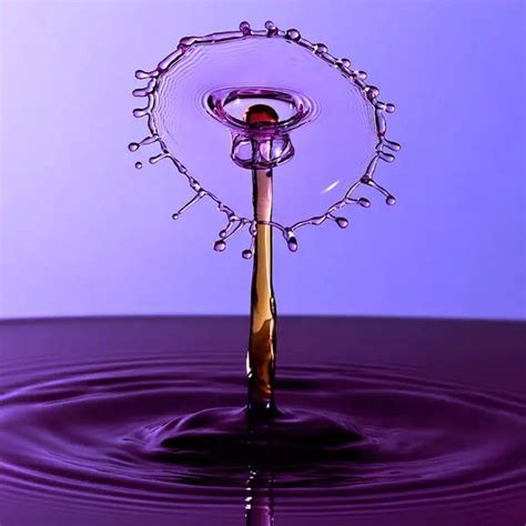 Amazing Arts And Artists Water Droplets Photography By Ronny Tertnes