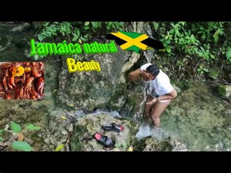 Jamaica Vlog Country Living How To Catch And Fry Shrimp Crawfish