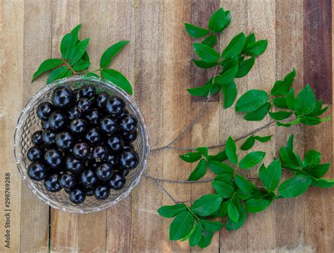 The jabuticaba or jaboticaba is the fruit of the jaboticabeira or ...