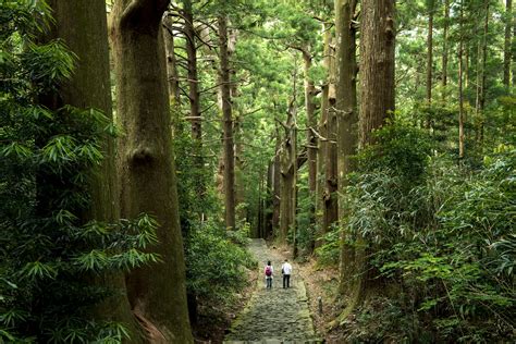 10 Best Road Trips In Japan Lonely Planet