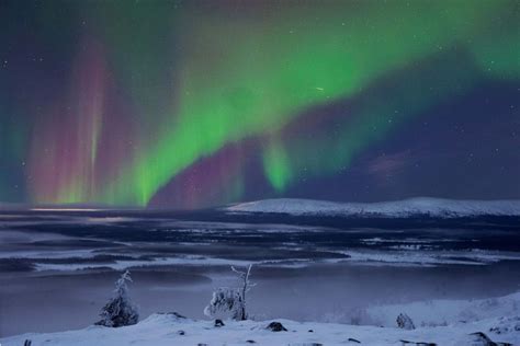 Levi Caza De Auroras Boreales Recorrido Fotogr Fico Getyourguide