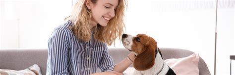 How to Teach a Dog to Speak | My Pet Needs That