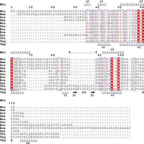 Structure‐based Sequence Alignment Of The ω Subunits From Mycobacterium