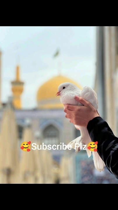 Subhan Allah 😍😍😍😍😍its Ansab Vlogs Subhanallah Mashallah