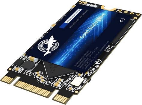 Dogfish SSD M 2 2242 1TB Ngff Unidad De Estado Sólido Incorporada