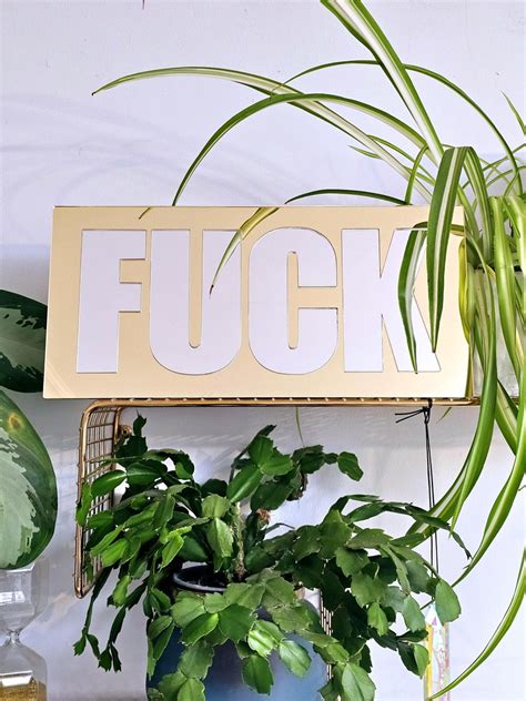 Fuck Wall Mirror Wall Art Dopamine Decor Swear Word Swearing Expletive Etsy