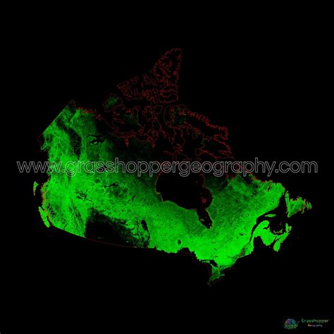 Canada - Forest cover map - Fine Art Print – Grasshopper Geography