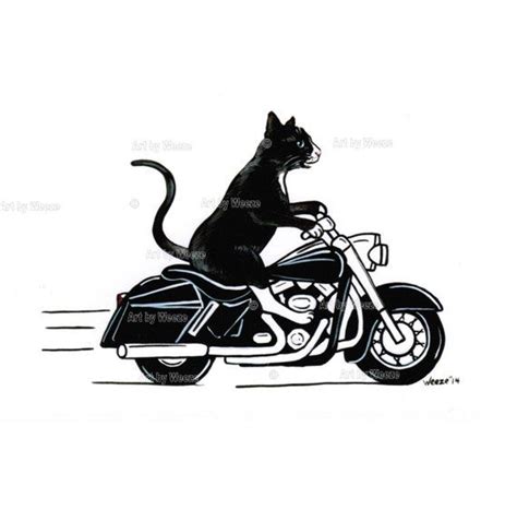 Black Cat, Cat on Motorcycle, Tuxedo Cat, Funny Cat Art, Motorcycle Art, Biker Art, Cat Print ...