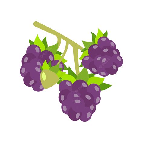 Un Racimo De Uvas Moradas Con Una Ilustración De Vector De Forma Plana Sobre Un Fondo Blanco