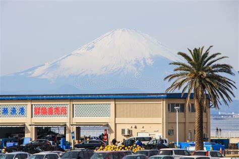 Landscape of Fuji Mount in Winter. Editorial Photo - Image of kanagawa ...