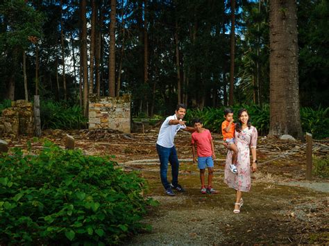 Residents are celebrating the growth of the north of north 3