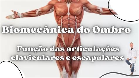 Biomec Nica Do Ombro Fun O Das Articula Es Claviculares E