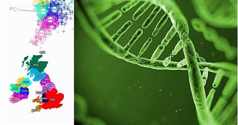 New genetic map reveals Irish people share far more DNA with the ...