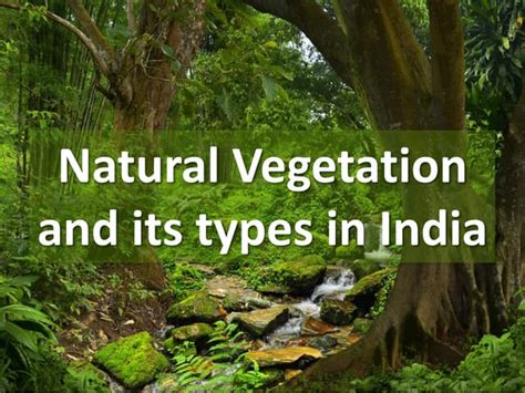 Types Of Natural Vegetation In India Ppt