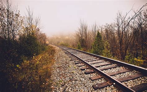 Vía de tren 2 tren pista naturaleza ferrocarril Fondo de pantalla