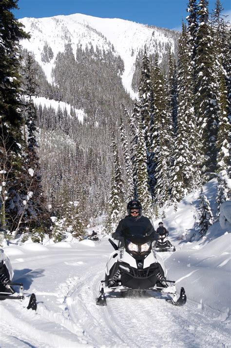 2-hour Snowmobile Tour in Golden - Try Out a New Winter Activity! White ...