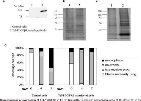 Figure From Quantitative Proteomic Analysis Using Isobaric Protein