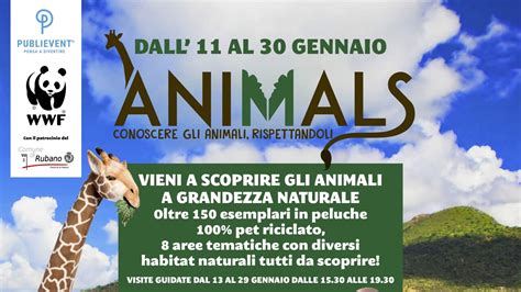 Già 200 bambini hanno visitato Animals la mostra di peluche a