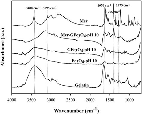 Ftir Spectra Of Synthesized Mnp With And Without Gelatin Coating At Ph