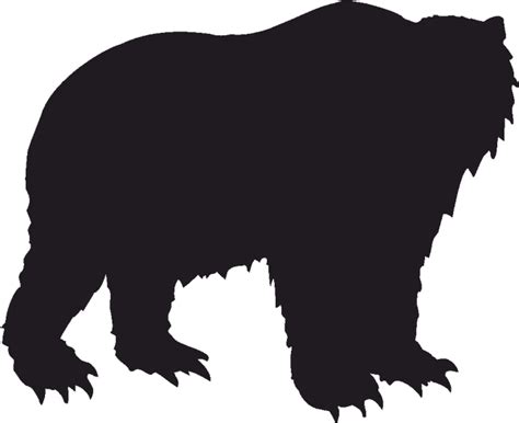 Download Grizzly Bear Polar Bear American Black Bear Kodiak Bear