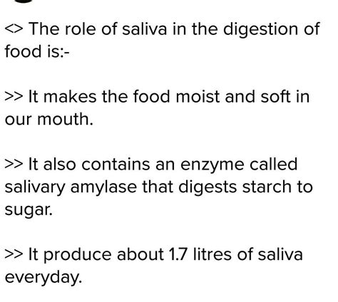 What Is The Role Of Saliva In Digestion Brainly In