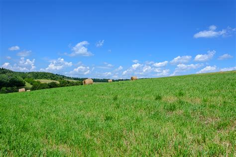 Banco de imagens : Pastagem, pasto, Prado, paisagem natural, campo ...