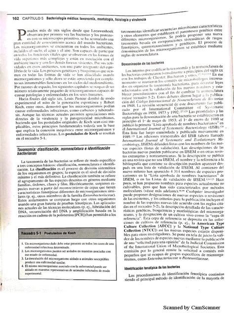 Diagnóstico Microbiológico Koneman 6a Edición Pdf