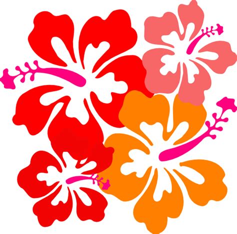 Download Vibrant Hawaiian Hibiscus Flowers Vector