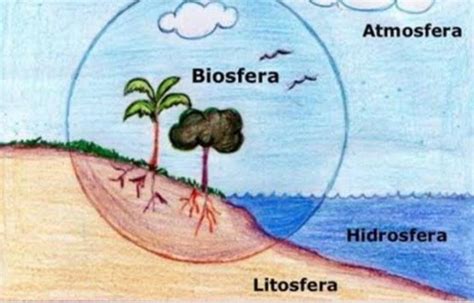 Un Parrafo Con Atmosfera Hidrosfera Litosfera Y Biosfera Ayudaaaa Brainlylat