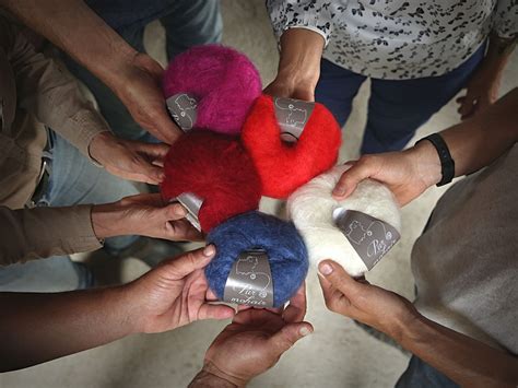 Wecandoo Découvrez un élevage de chèvres Angora et leur belle toison