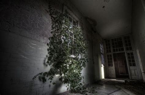 Abandoned Mental Asylum 50 Pics