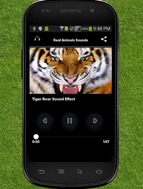 Real Animals Sounds APK pour Android - Télécharger