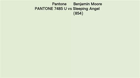 Pantone 7485 U Vs Benjamin Moore Sleeping Angel 854 Side By Side