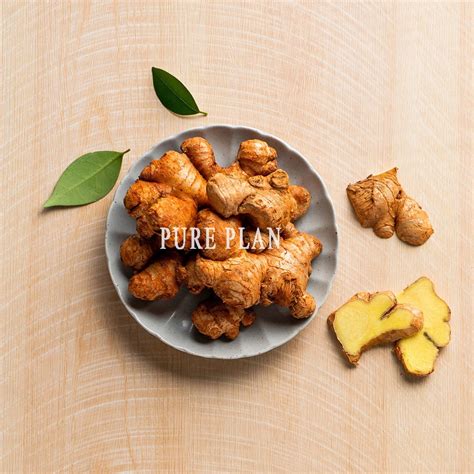 Korean Ginger Pureplan