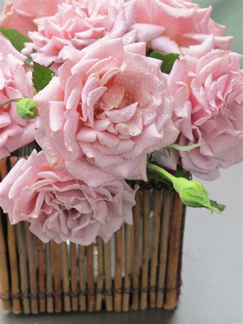 Charlotte Mosss Love For Roses Will Inspire You To Plant Your Own